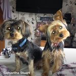 Paula stuart - @paulastuart68 - Instagram