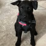 Paula Stuart Hodgkinson - @nanny_knoo - Instagram