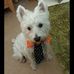 Paula Sturley - Facebook