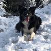 Paula Summers882 - @happyhoundgirl - TikTok