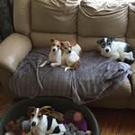 Paula Sutherland - @psuth2754 - Instagram
