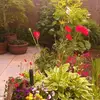 Paul Atack - @paul.atack - TikTok