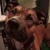 paulatackett0 - @paulatackett0 - TikTok