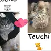 user8019007360660 - @paulatealobi - TikTok