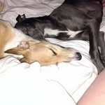Paula Thomson - @paulamc1503 - Instagram