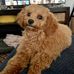 Paula Thomson - Facebook