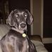 Paula Thurmond - Facebook