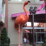 Paula Tillman - @paula4116 - Instagram
