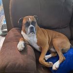 Paula Tillman - @ptillman12 - Instagram