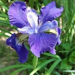 Paula Tipton - @paulatipton624 - Instagram