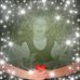 Paula Tolson Wells - Facebook