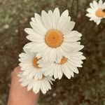 ᴘᴀᴜʟᴀ ᴛʀᴀᴠɪsᴀɴ - @paulatravisan - Instagram