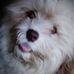 Paula Travise - Facebook