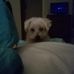 Paula Vallee - Facebook