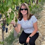 Paula Vincent - @prv0429 - Instagram