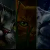 paula - @paulavoss10 - TikTok