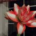 Paula Waite - Facebook