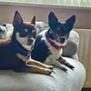 Paula Waite - @paula.waite - TikTok