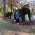 Paula Walden - Facebook