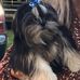 Paula Waldrop - Facebook
