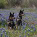 Paula Waldrop Smith - Facebook