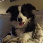 Paula Wallin - @paula.wallin.98 - Instagram