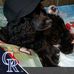 Paula Wettstein-Walter - Facebook