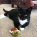 Paula Randazzo Warfield - Facebook