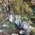 Paula Watters - @paulawatters6266 - Instagram