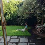 Paula Weems - @weems6401 - Instagram