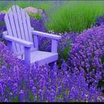 Paula Weems Leggett - Facebook