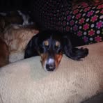 Paula Weiler - Facebook
