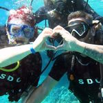 Paula Westerman - @westerman2506 - Instagram