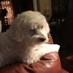 Paula Wheat - Facebook
