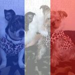 Paula Wheatcroft - @paulawheatcroft - Instagram