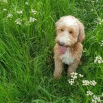 paula wheatcroft - @wheatcroft.paula - Instagram