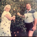 Paula Wood Wheatley - @woodwheatley - Instagram