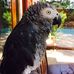 Paula Wheeldon - Facebook