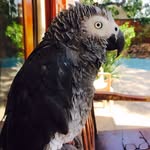 Paula Wheeldon - @paula.wheeldon.7 - Instagram