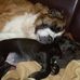 Paula Will - Facebook