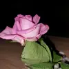 paulawill57 - @paulawill57 - TikTok