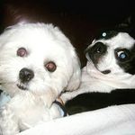 Paula Winans - @paulawinans - Instagram