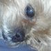 Paula Wireman - Facebook