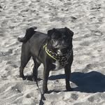 Paula Johnson Woolley - @woolley.paulapwoolley6 - Instagram