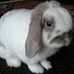 Paula Wray - Facebook
