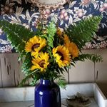 Paulette Arnold - @paulettearnold62 - Instagram
