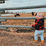 Paulette Ball - @pauletteball602 - Instagram