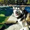 Paulette Ballantine - @paulette.ballanti - TikTok