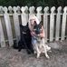 Paulette Beatty - Facebook