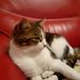 Paulette Bouchard - Facebook